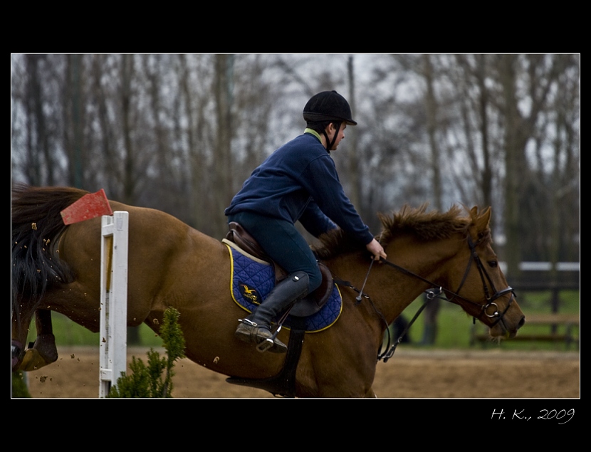parkury 03